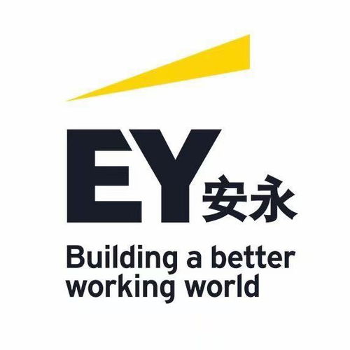 金融科技創(chuàng)新團(tuán)隊(duì)的實(shí)地實(shí)習(xí) 探索金融信息咨詢的未來